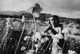 Photo by HENRY DILTZ